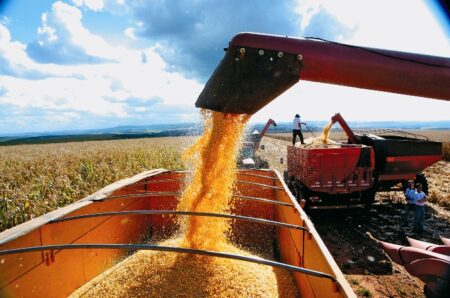 Preço do milho recua a R$ 97,50