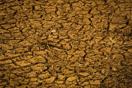 Afetado pela seca? Veja o que fazer: