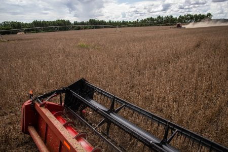 Colheita gaúcha de soja atinge 74% da área