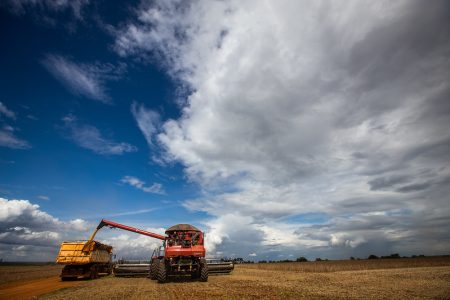 Cotação da soja recua para R$ 202,00