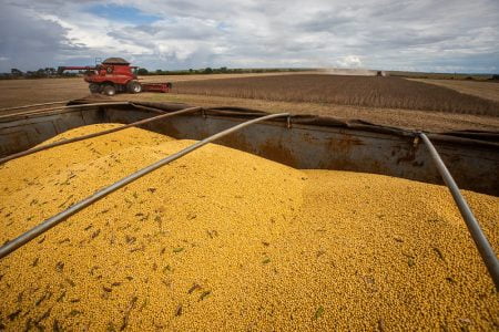 Cotação da soja se valoriza