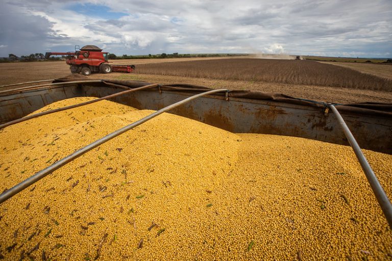 Soja desvaloriza e é negociada a R$ 196,00 a saca