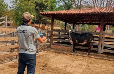 Girolando começa o ano com mais de 2 milhões de animais registrados