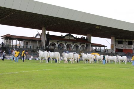 Expozebu 2022 está com inscrições abertas e traz novidades