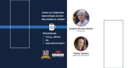 Inteligência do boi melhora a carne