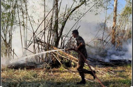 Produtores pedem que programa ABC seja usado para áreas atingidas por incêndios