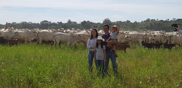 Pecuária rumo ao equilíbrio sustentável