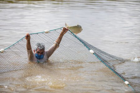 Sistema de cadastro de pescadores terá manutenção de 14/2 a 02/3