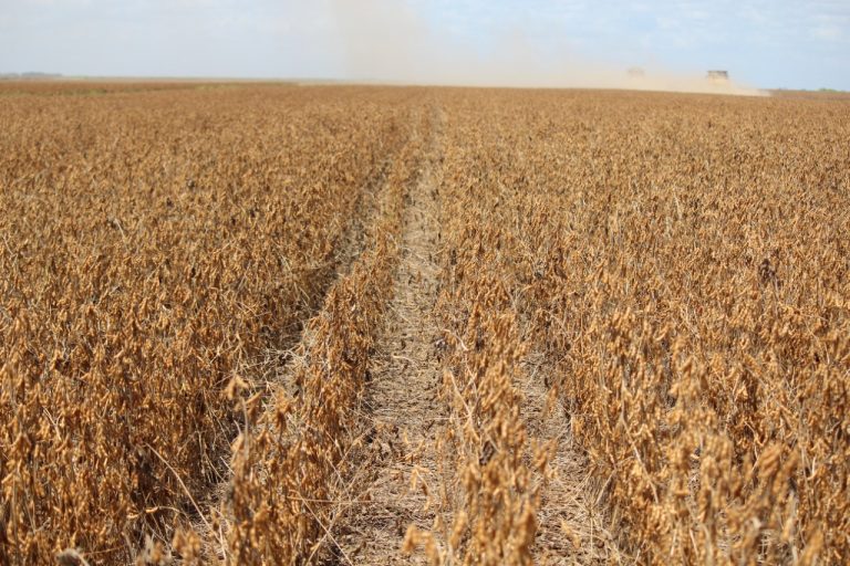 Cotação da soja sobe para R$193,00/sc