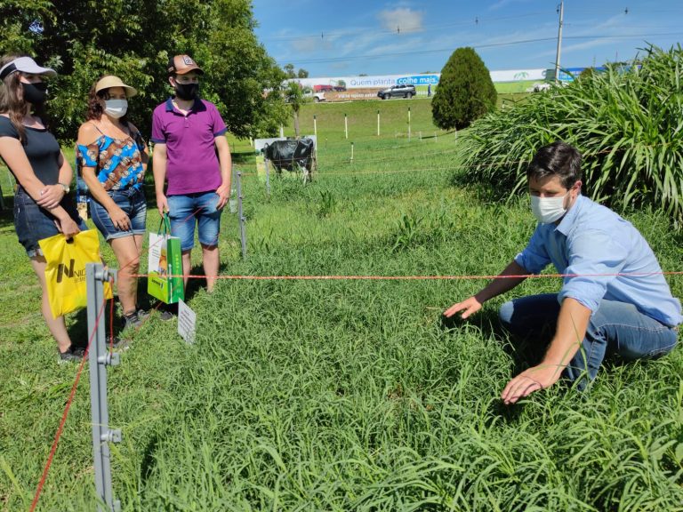 Expodireto Cotrijal: produtores aprendem sobre controle natural do carrapato