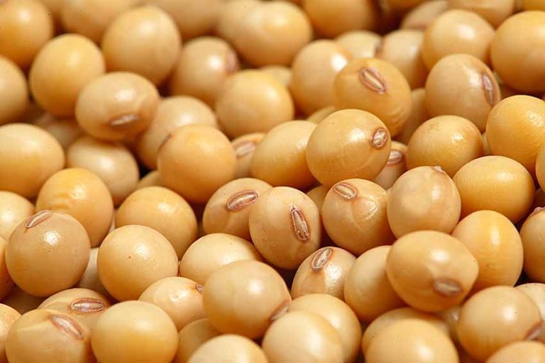 Soja: forte alta em Chicago