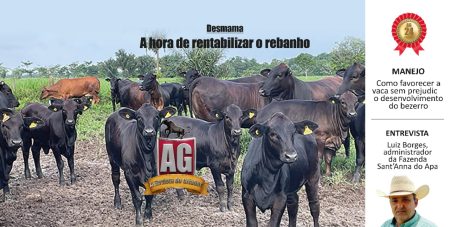 Garimpadores de eficiência