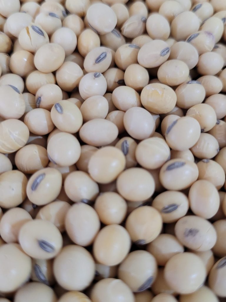 Biodiesel representou 2% do PIB da agroindústria em 2021