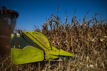 Saca do milho encosta nos R$ 102,00