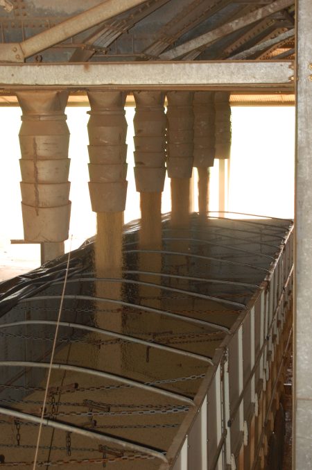 Mais soja processada e embarcada