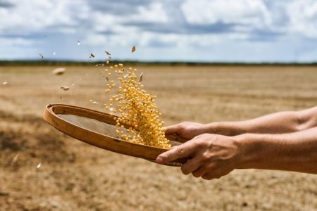 Soja tem forte queda com desvalorização do dólar