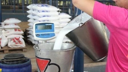 Leite: 1º trimestre tem alta no preço ao produtor