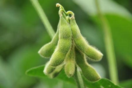 Show do agro nos portos. Março histórico para os embarques