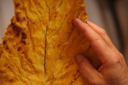 Exportações gaúchas movimentadas em março