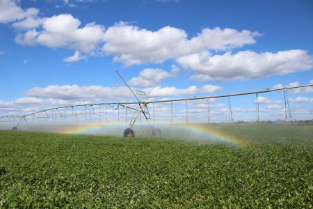 Oportunidades da soja sob pivô em tempos de déficit hídrico