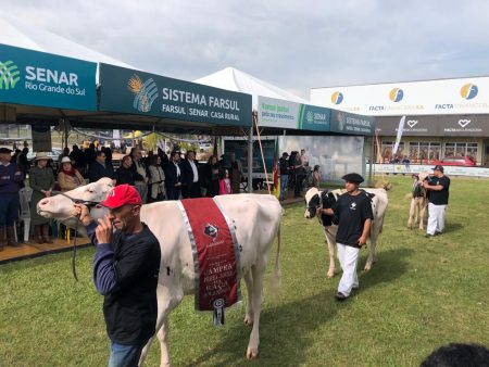 Fenasul Expoleite encerra com desfile de campeões