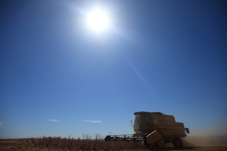 Soja: 22 milhões de toneladas a menos que o esperado