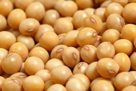 Recordes de embarques do agronegócio. Setor amplia participação no total