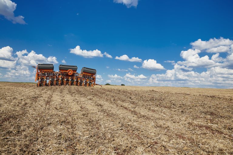 A safra precisa acontecer para não emagrecer o País