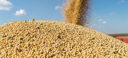 Soja: menos exportações em 2022