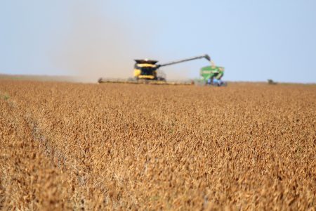 Comercialização de soja 2022/23 mais devagar que a média