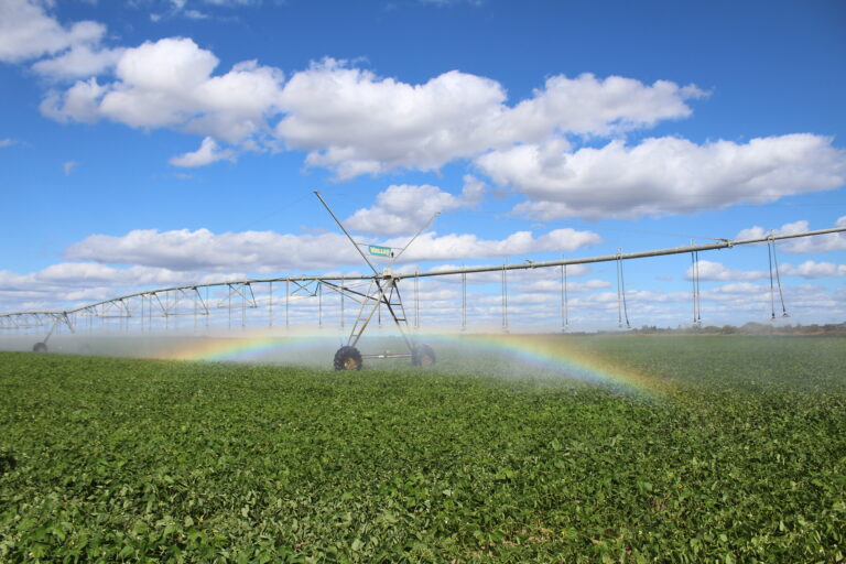 Brasil só usa 5% do potencial de águas