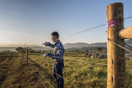 Possível apagão de mão de obra pecuária preocupa especialistas