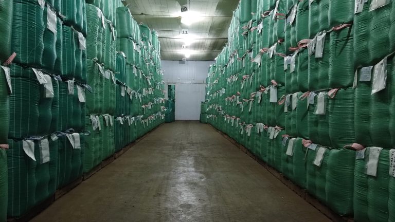 Mato Grosso sedia a 1ª Feira Brasileira de Sementes