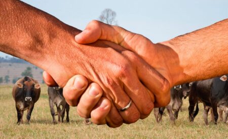 Sua fazenda tem Friendshoring?