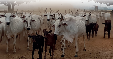 Vilãs nocivas e SILENCIOSAS