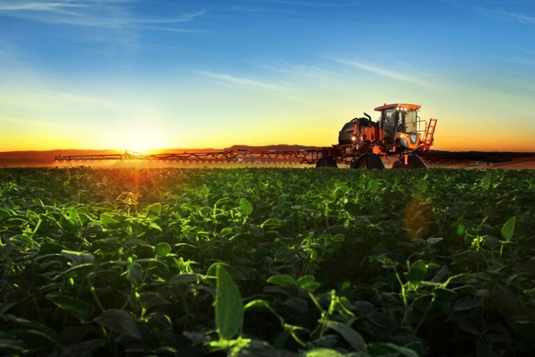 Soja representa metade do VBP do agro mato-grossense