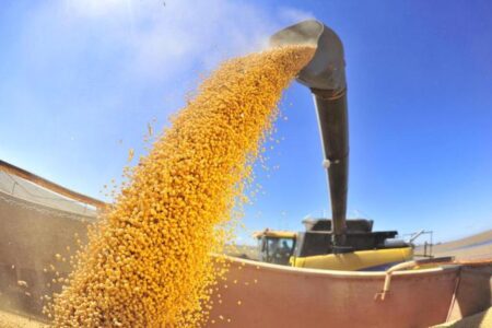 Exportações de soja batem recorde no 1º trimestre do ano