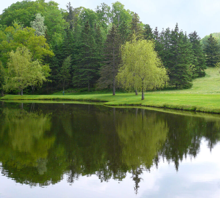 Coalizão Brasil apresenta proposta para pagamento por serviços ambientais