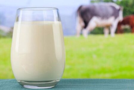 Preço do leite pago ao produtor bate recorde