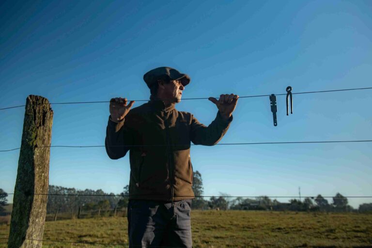 Da cerca à doma de cavalos