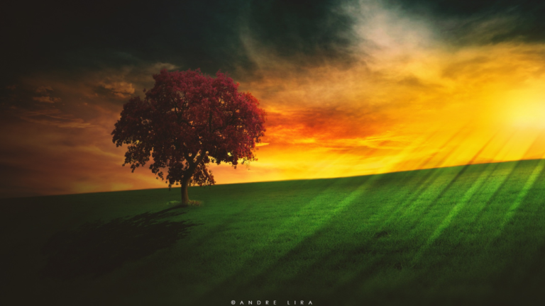 “Para mim, essas próximas eleições vão ser a oportunidade do nosso país tomar o rumo que precisa”