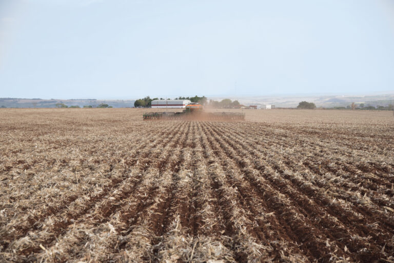 Argentina em tempos de “dólar-soja”