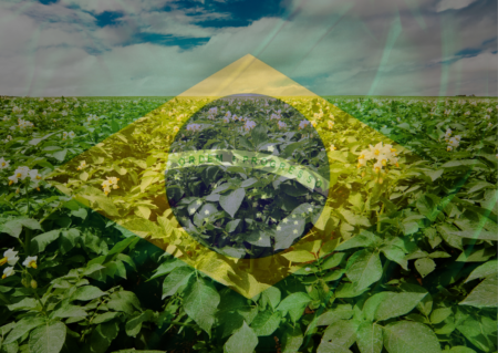 Agro cresce, ignora crises e vive ‘realidade paralela’ à do Brasil