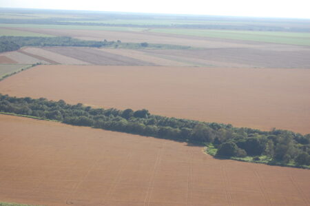 Recorde de 312,4 milhões de toneladas! Previsão da Conab para a safra 2022/23