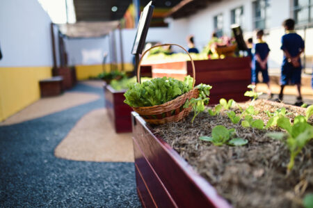 Segurança alimentar: Instituto Mosaic beneficia milhares