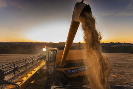 Comercialização antecipada mais lenta da soja 2022/2023