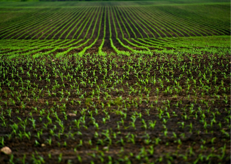 Fundos Estaduais Inconstitucionais Atigem o Agro
