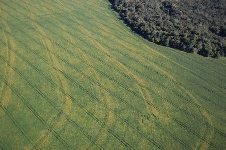 Safra de grãos 2022/23: aumento de 42 milhões de toneladas