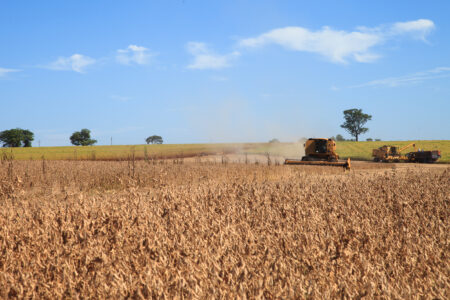 Soja: mercado atento a clima, China e relatório do USDA
