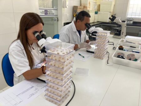 Laboratório do Indea auxilia no combate às doenças na agropecuária